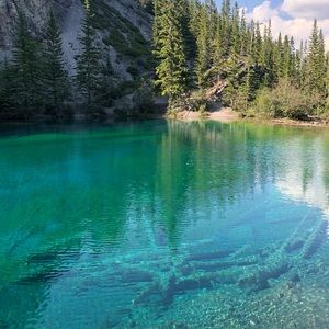 Meet your Posher, Joanne